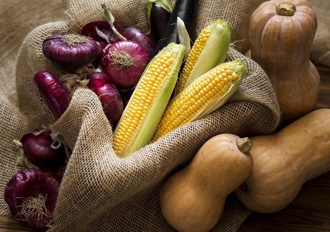 چرا مجموعه صادقی در دزفول بهترین انتخاب است؟